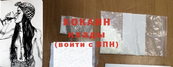 ПСИЛОЦИБИНОВЫЕ ГРИБЫ Абаза