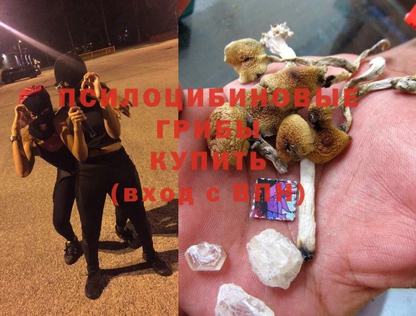 прущая мука Рославль