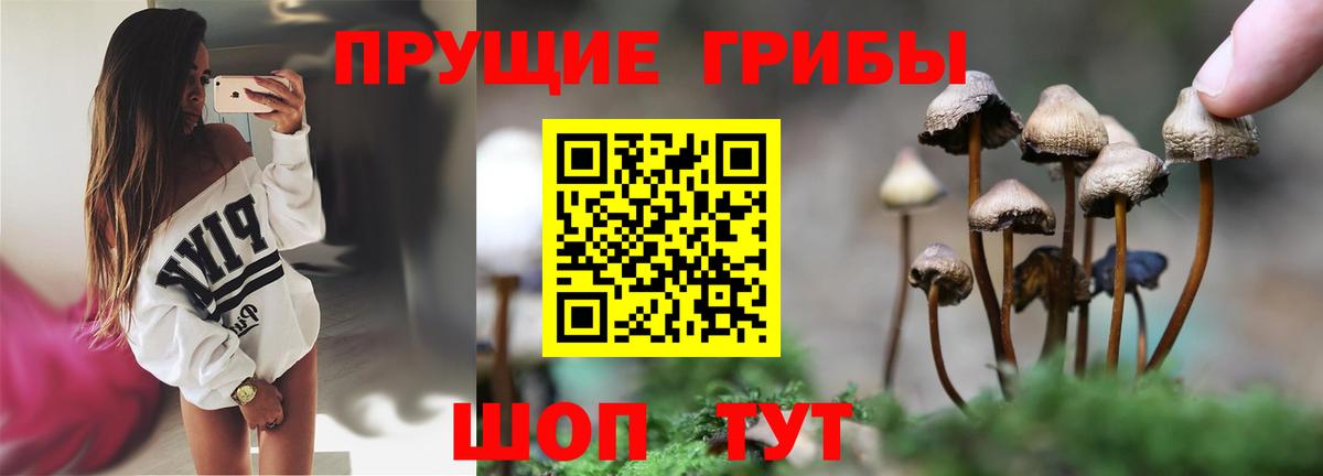 Галлюциногенные грибы прущие грибы  Вход с VPN  Аксай 